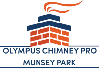 Olympus Chimney Pro